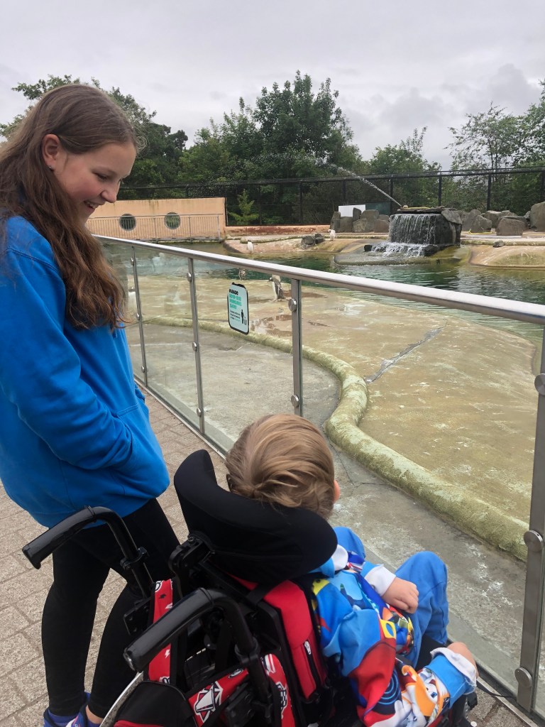 Quinns & Big Sister have a chat while looking through glass screens at the penguins in their enclosure
