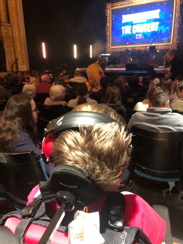Close up of the back of Quinns head looking at the stage which has a screen saying Horrible Histories The Concert. His Big Sister is sitting in a seat front left of Quinns.