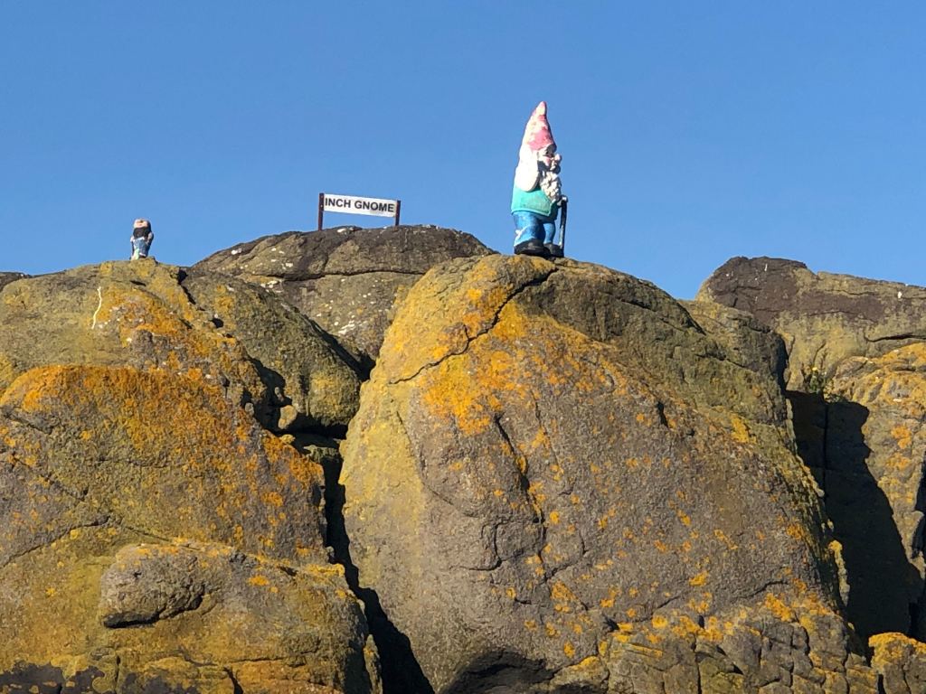 A gone sits atop a rock on an Island with a sign that reads 'Inch Gnome'.